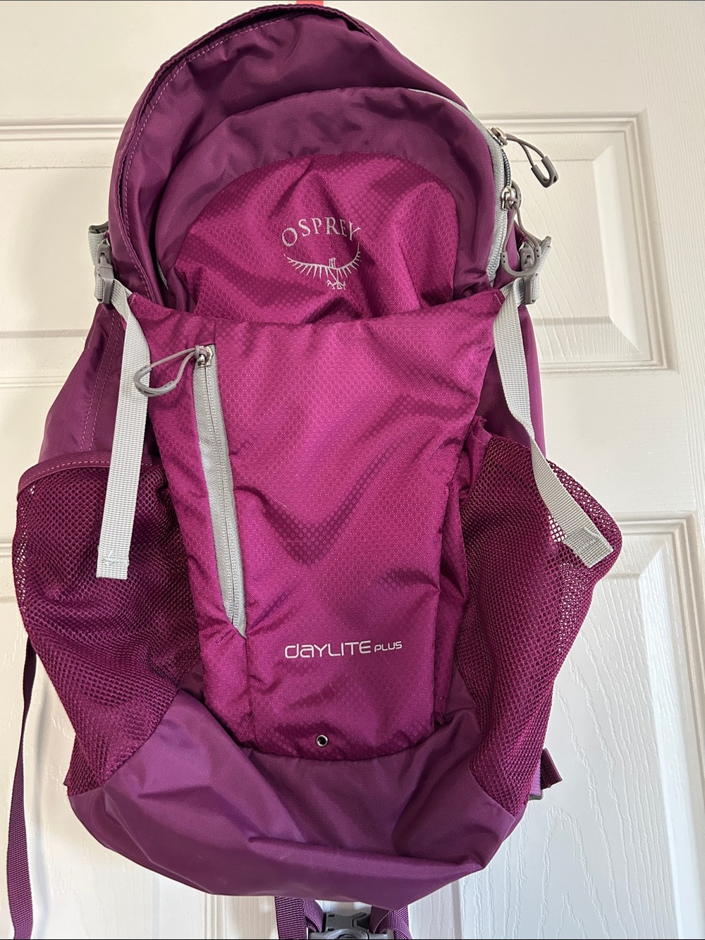 Purple osprey backpack